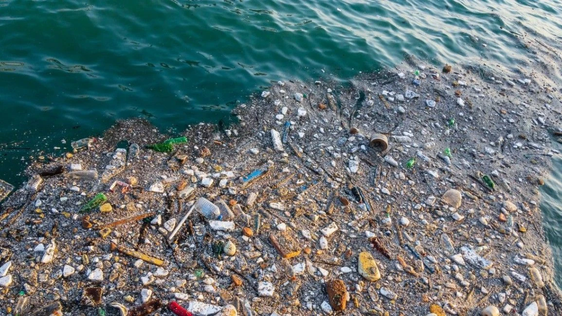 10 Ways to Save the Ocean: Protect Our Planet Today