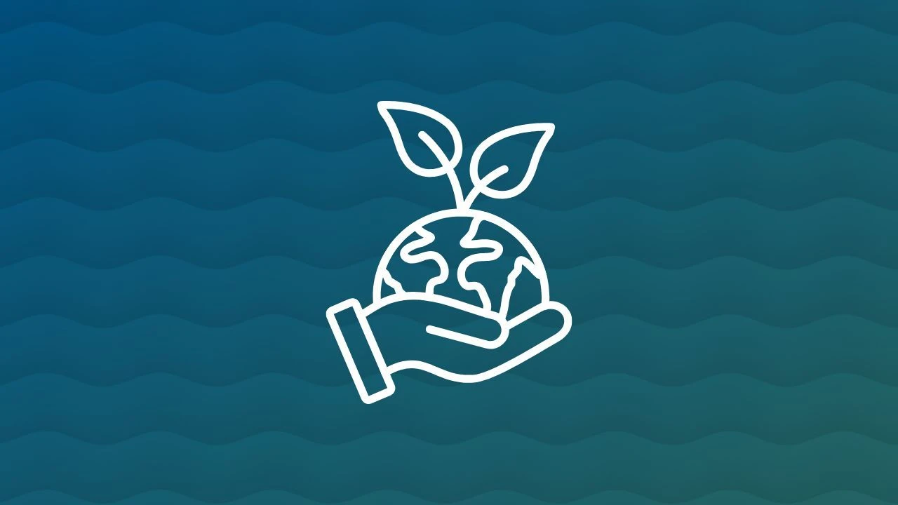 Eco-Friendly Companies: Building a Sustainable Future