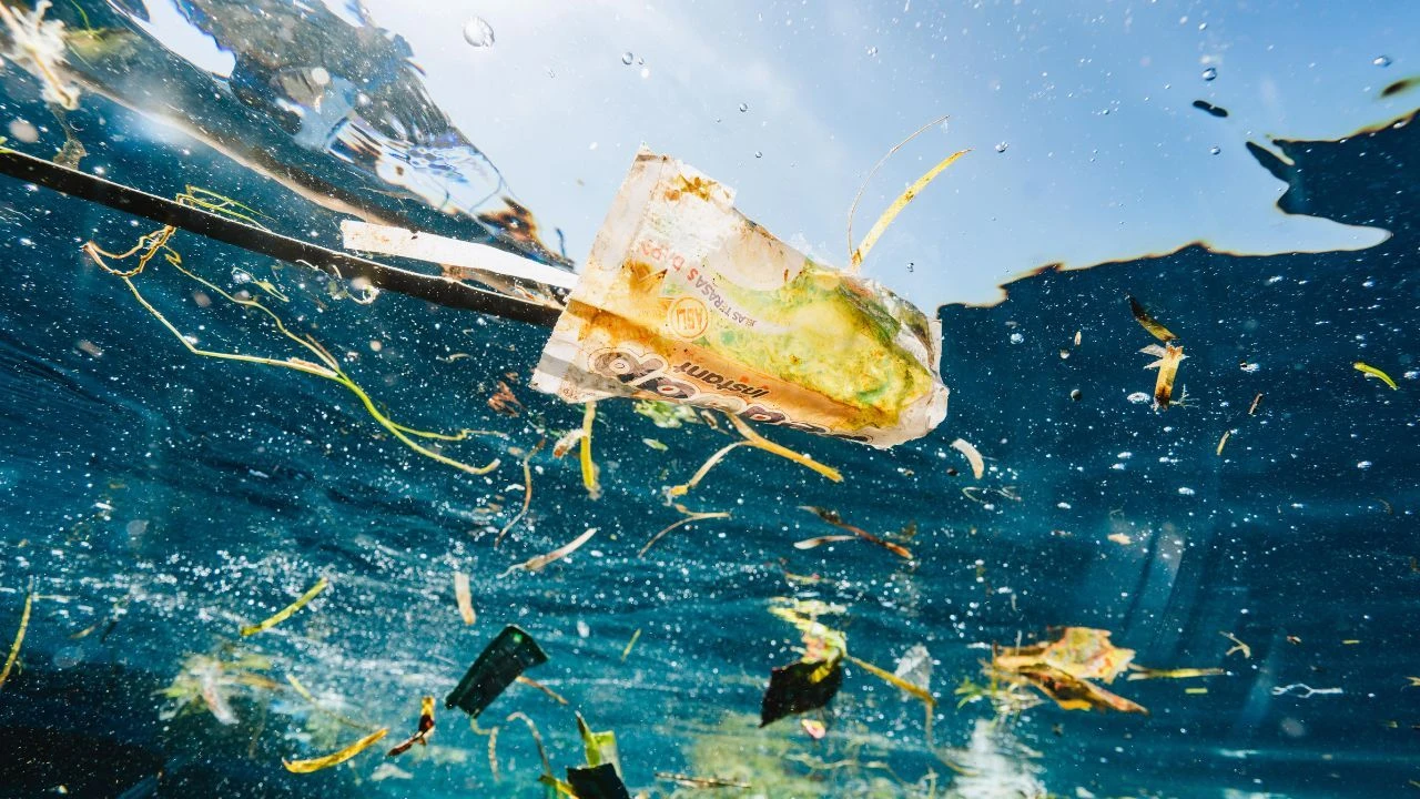 Wave Browser and 4ocean Remove 8,344 Pounds of Trash in May 2026