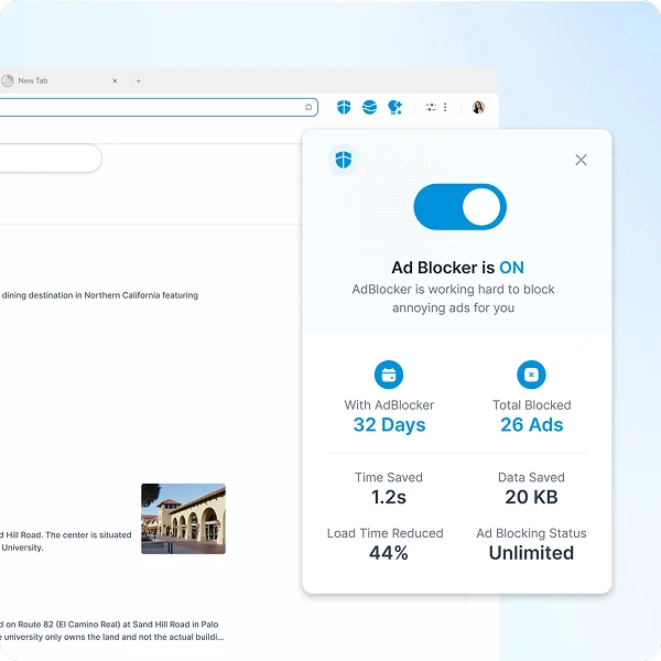 Streamlined web pages with blocked ads