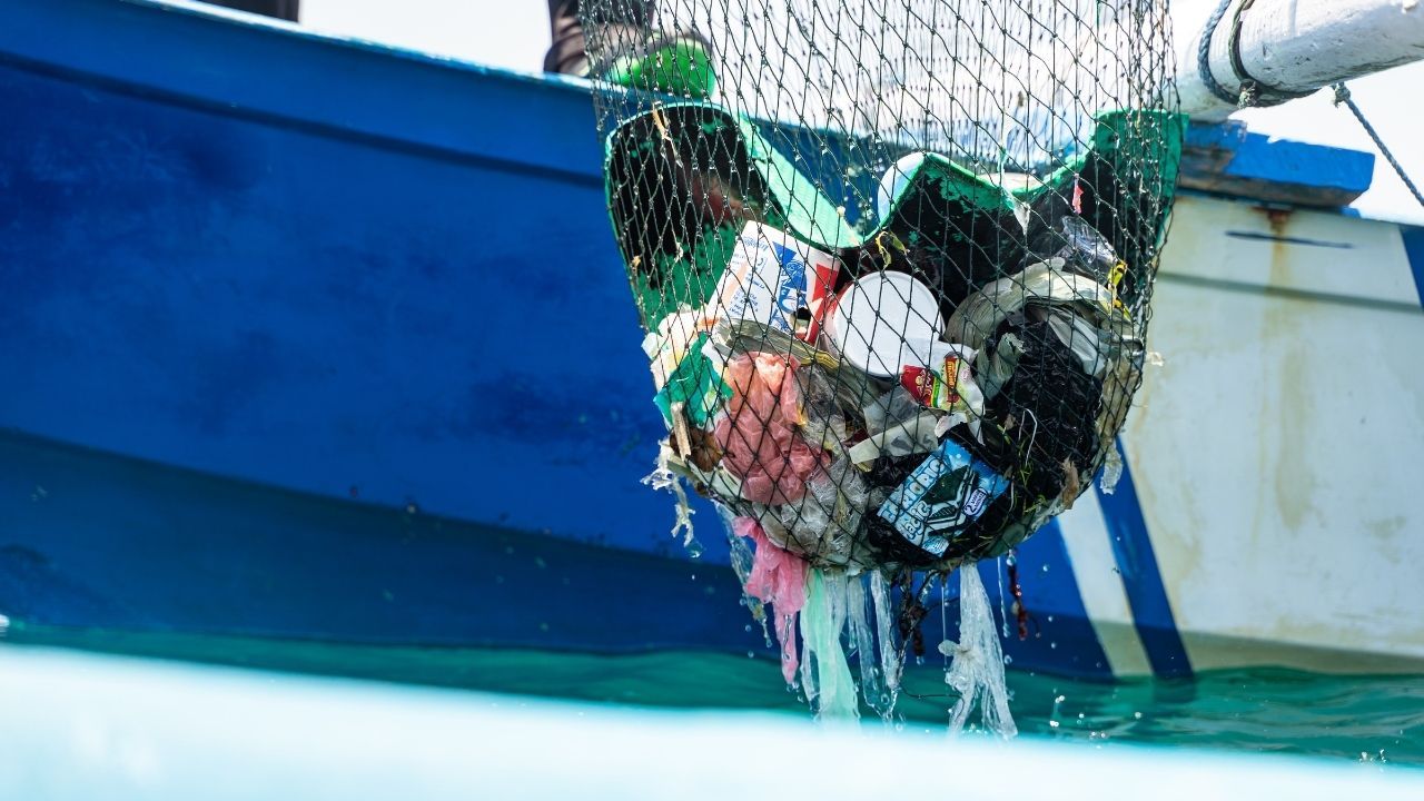 A Look at the Cleanup Data 