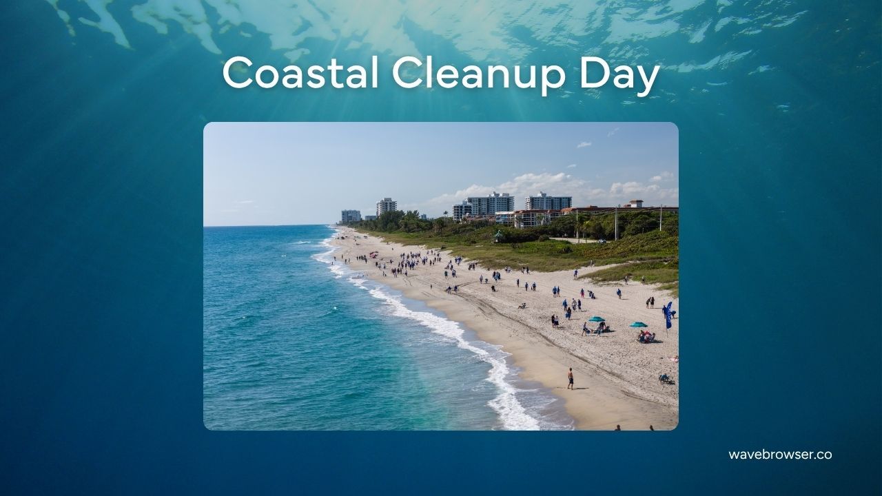 costal cleanup