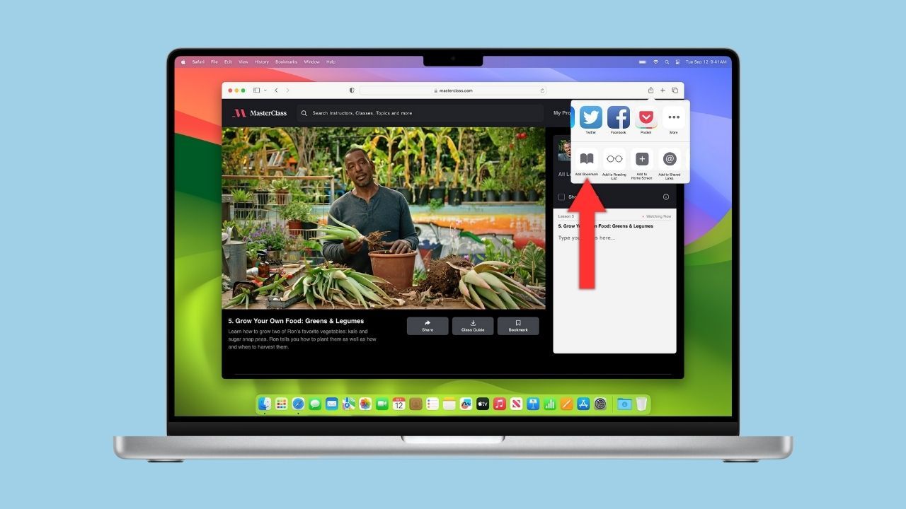 Safari browser open with an arrow pointing to \