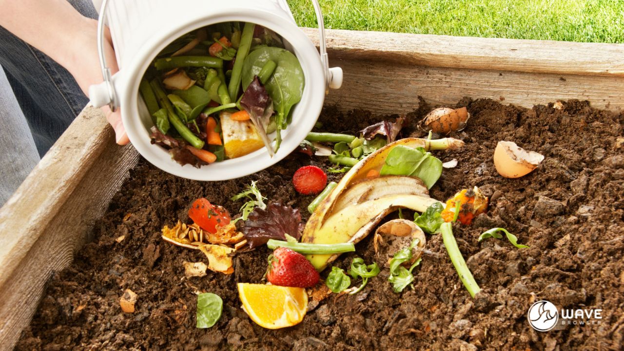 Local Composting Networks
