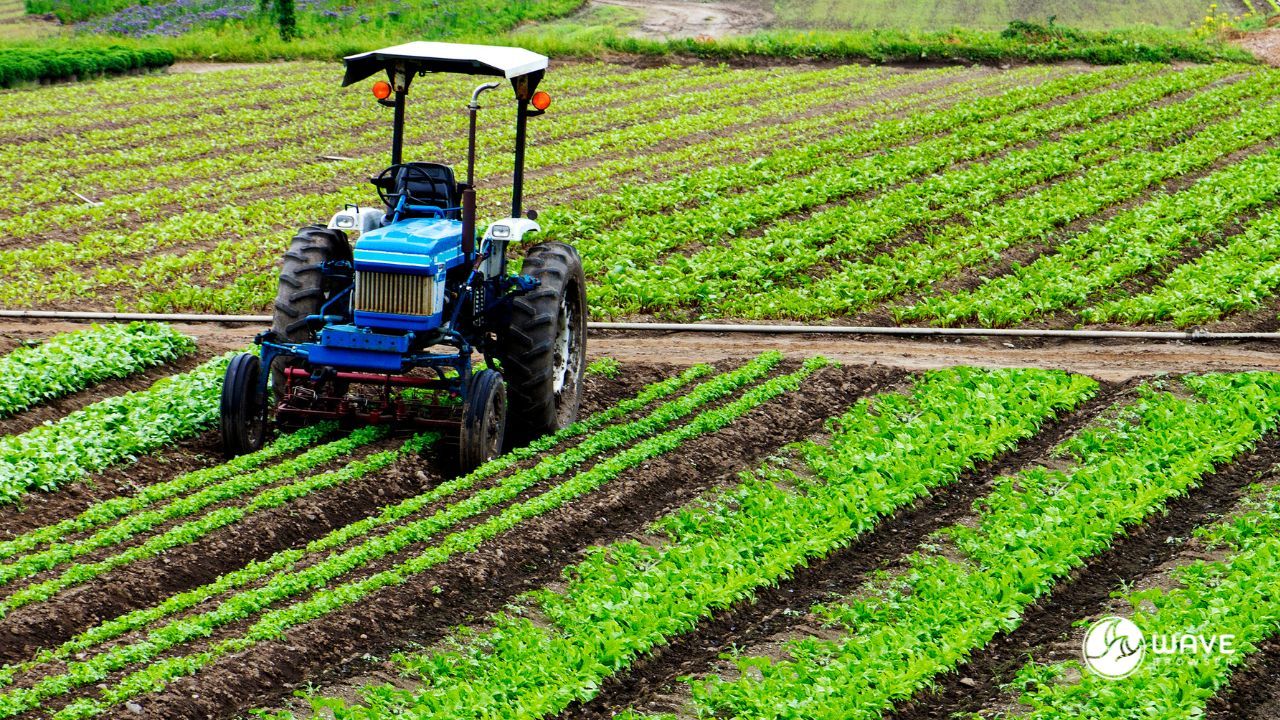 Sustainable Agriculture