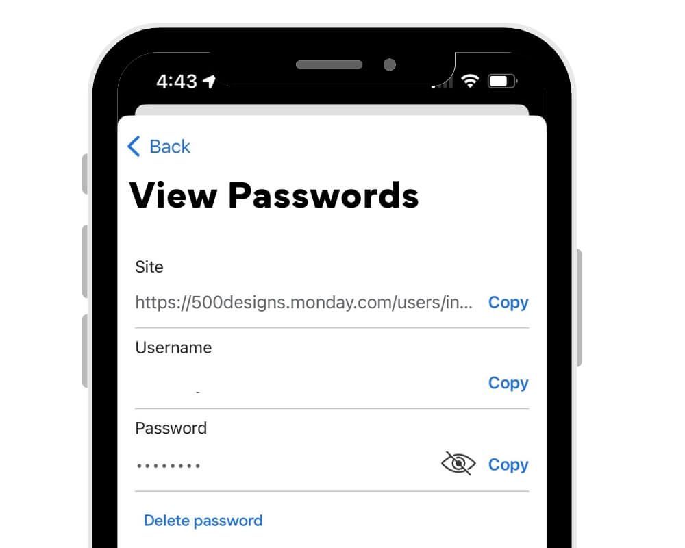Step 6 - View passwords on mobile Google Password Manager