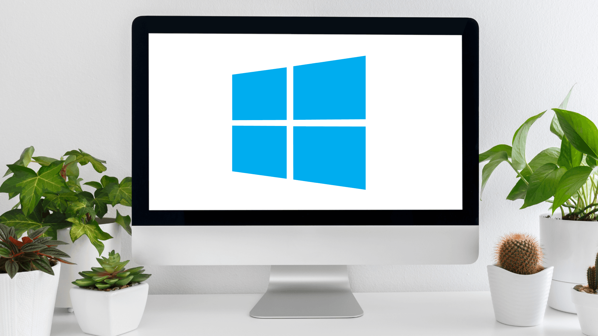 Windows logo on a computer with plants around it, representing the redo and undo keyboard shortcut on Windows
