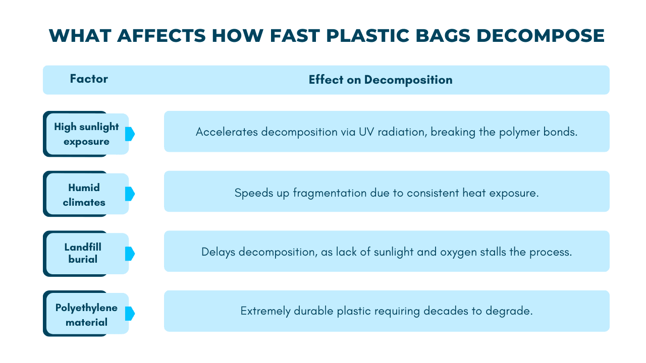 What Affects How Fast Plastic Bags Decompose