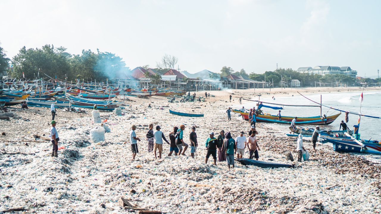 beach cleanup