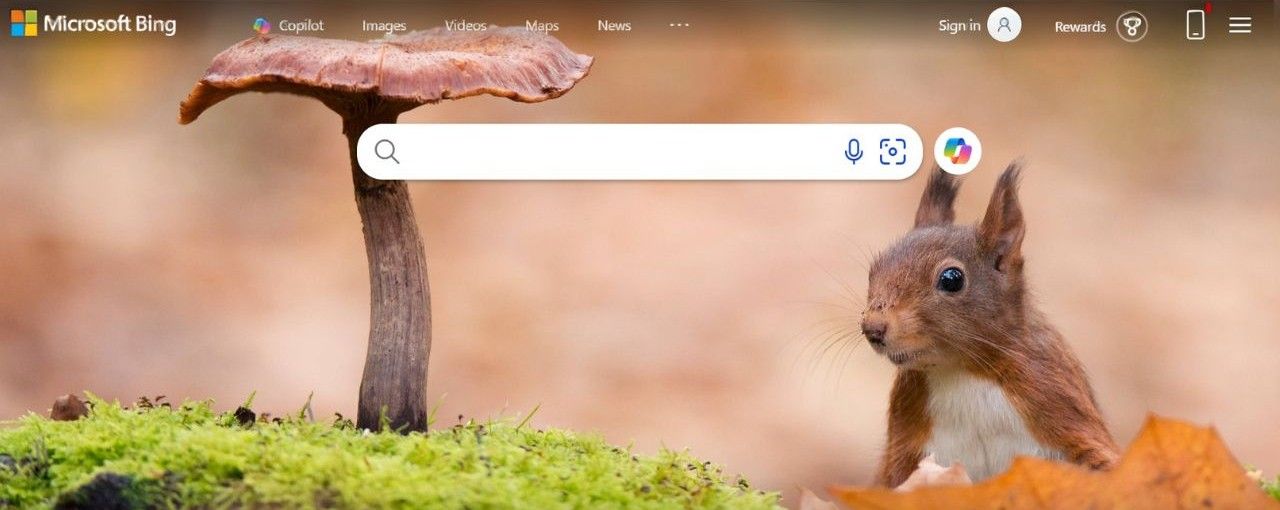 Bing