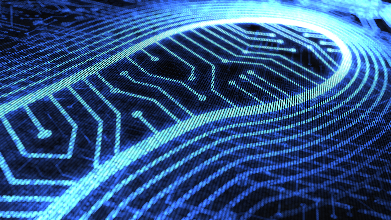 digital footprint