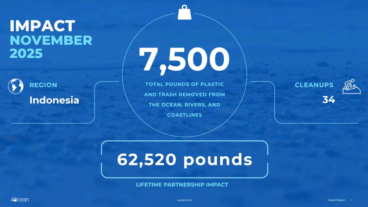 november impact report