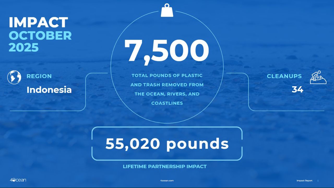 impact report