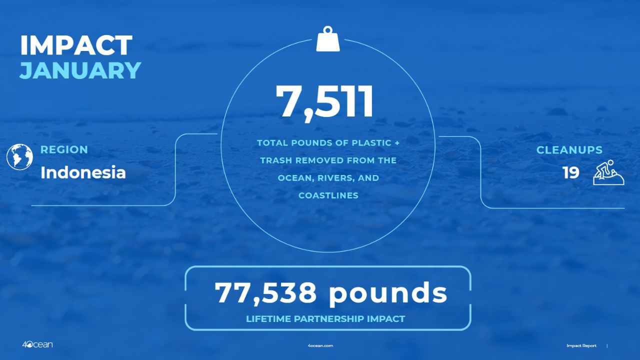 january impact report