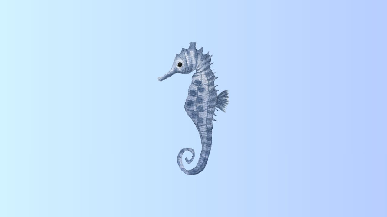 ocean project ideas