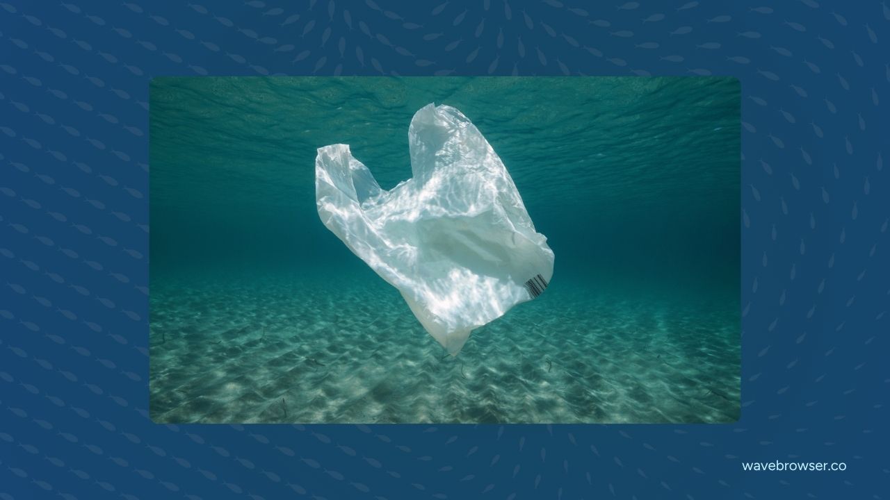 plastic bag