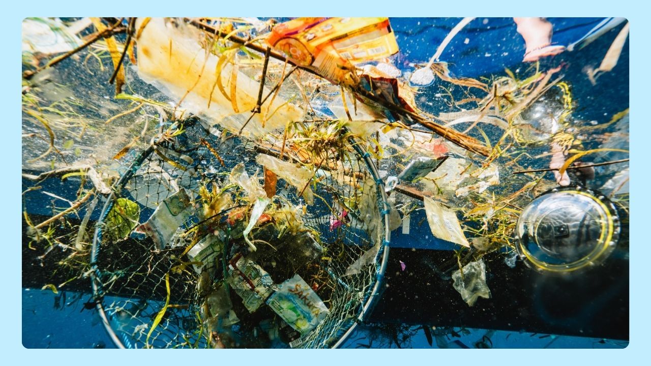 plastic pollution