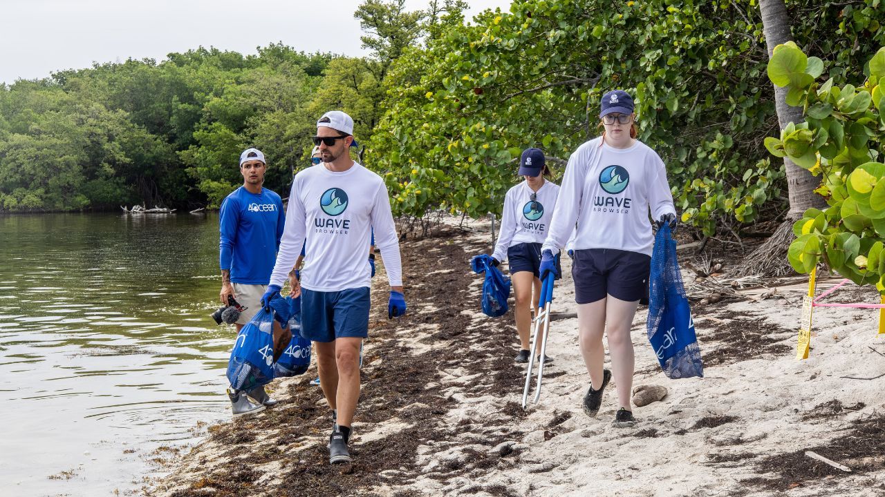 how browsing with wave helps clean the ocean