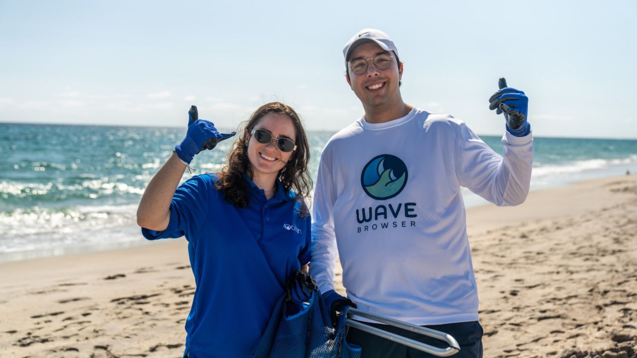 wave browser and 4ocean