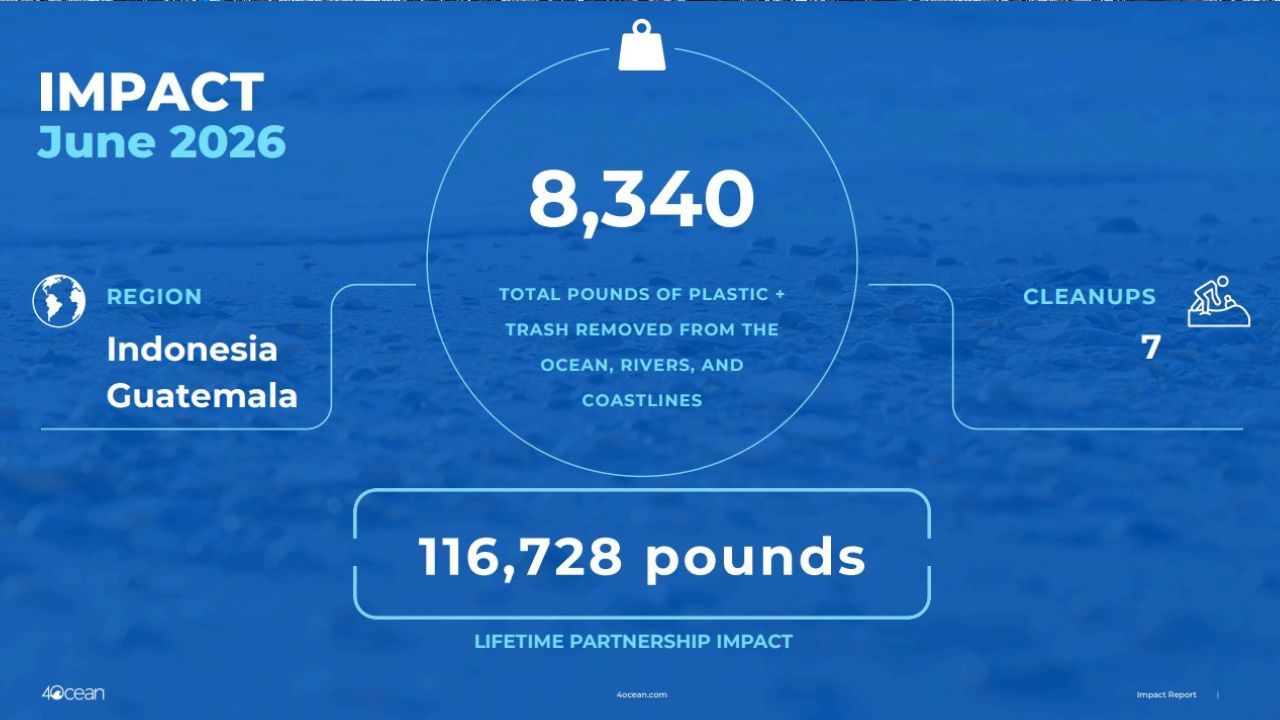june impact report