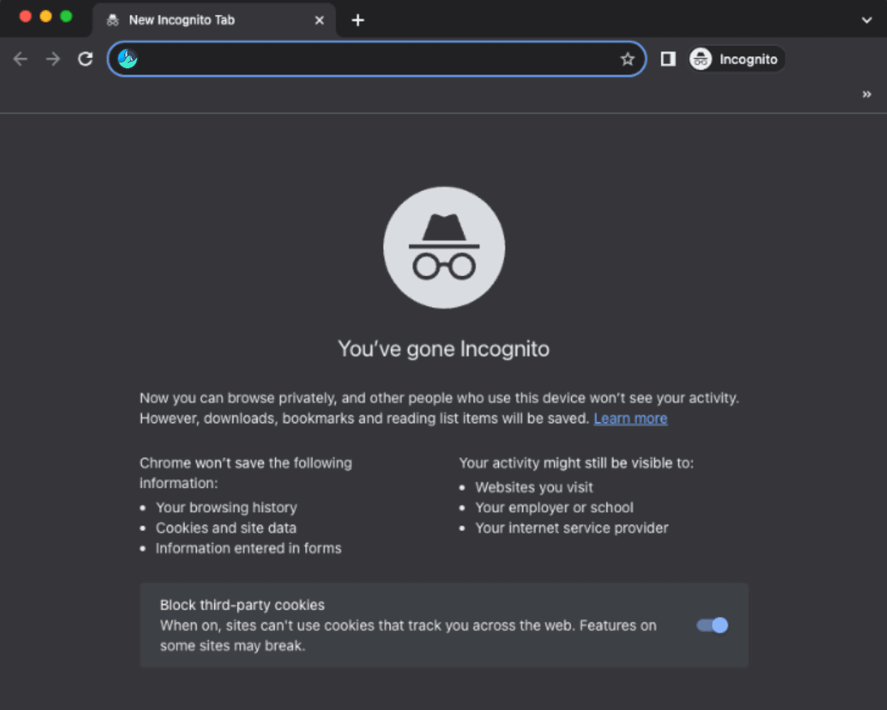 Screenshot of incognito mode open on Wave Browser