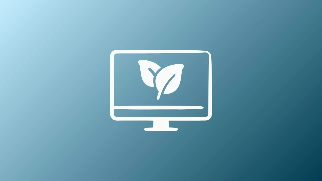 What Is an Eco Browser? How Can It Create Positive Impact?