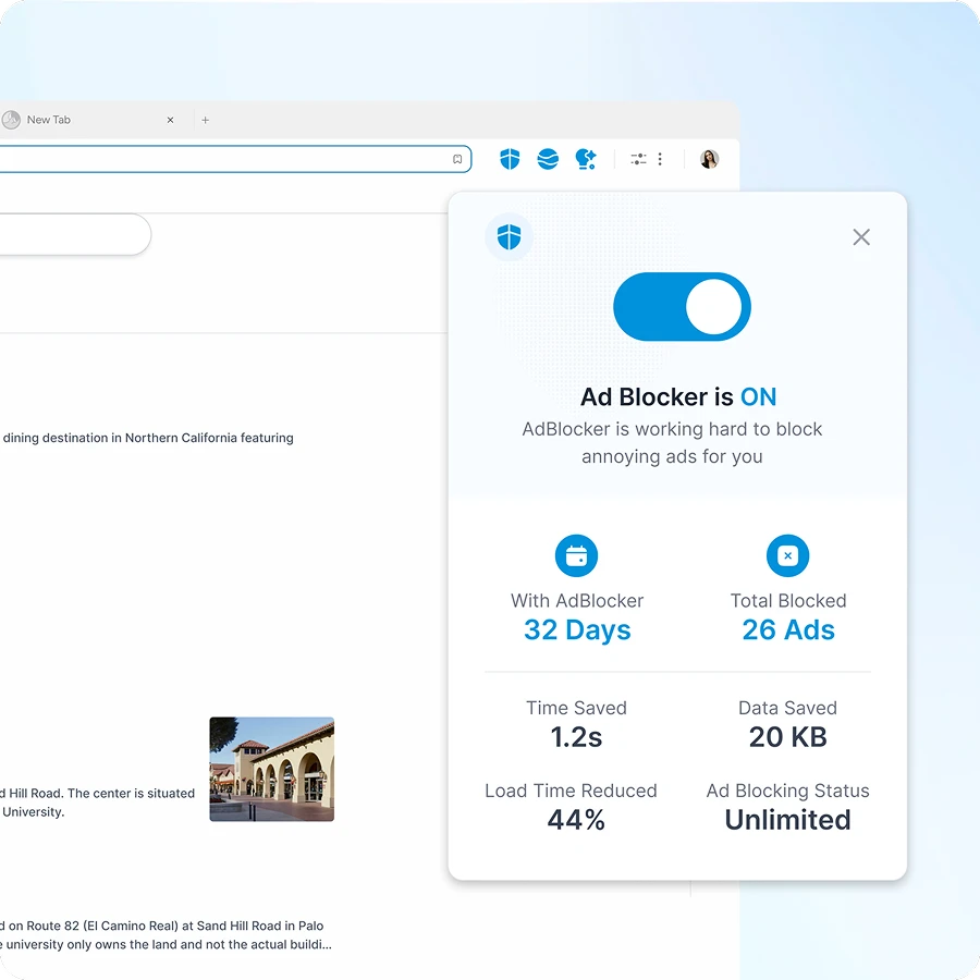 Streamlined web pages with blocked ads