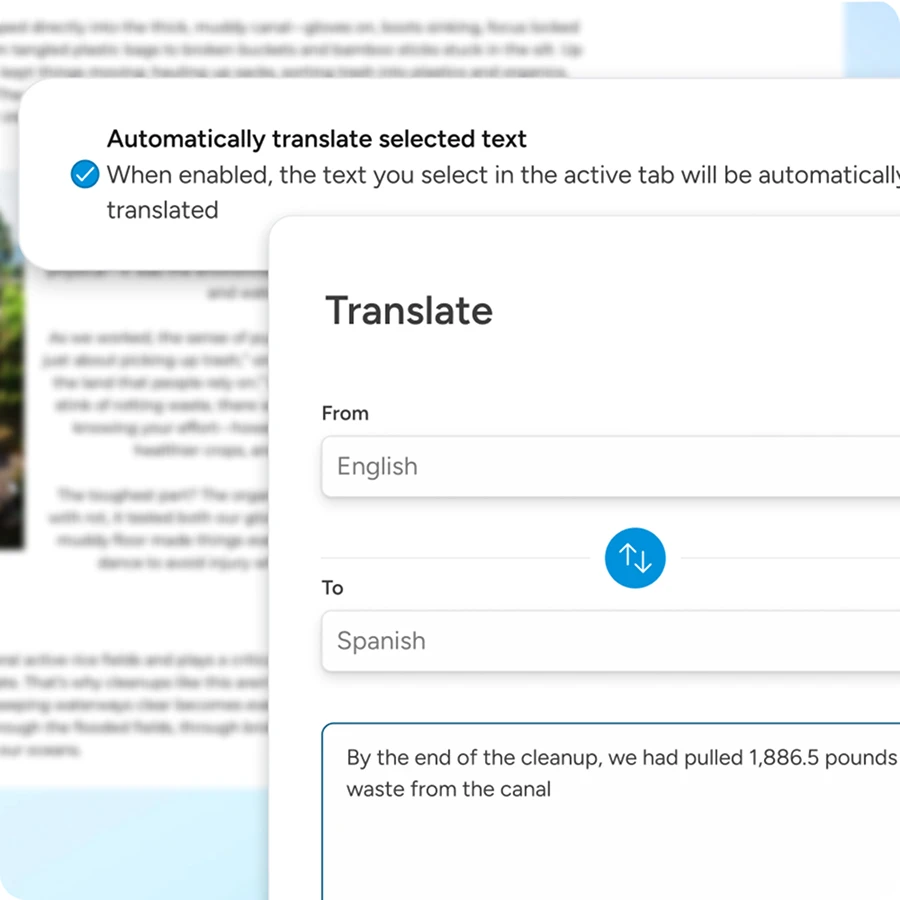 Wave Browser translation features