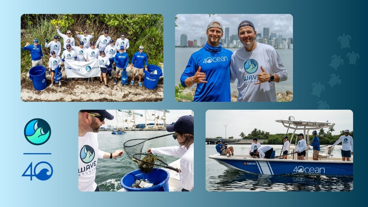 Why This Beach Cleanup Mattered